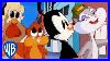 Animaniacs_Everyone_But_The_Warners_Classic_Cartoon_Compilation_Wb_Kids_01_tg