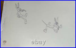 Bugs Bunny Model Outline Pre Production Cel Looney Tunes Bob Clampett Rare
