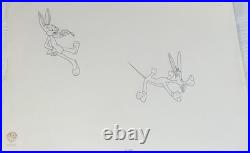 Bugs Bunny Model Outline Pre Production Cel Looney Tunes Bob Clampett Rare