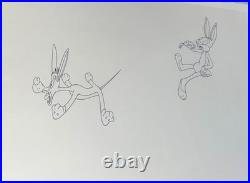 Bugs Bunny Model Outline Pre Production Cel Looney Tunes Bob Clampett Rare