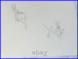 Bugs Bunny Model Outline Pre Production Cel Looney Tunes Bob Clampett Rare
