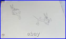 Bugs Bunny Model Outline Pre Production Cel Looney Tunes Bob Clampett Rare