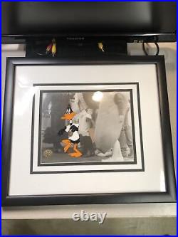 Daffy duck picture with COA 1994 Only One On eBay? Very Rare Warner Bros