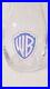 Extreme_RARE_Warner_Bros_WB_Logo_13_1_2_Tall_Vintage_Glass_Decanter_01_ia