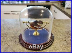 Harry Potter The Sorcerer's Stone Dome Glass Display Warner Bros RARE