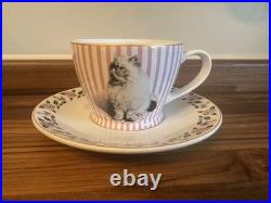 Harry Potter Warner Bros Studios Tour Dolores Umbridge Cat Cup + Saucer Rare