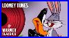 Looney_Tunes_Bugs_Bunny_Mega_Compilation_Vol_7_Warner_Classics_01_vz