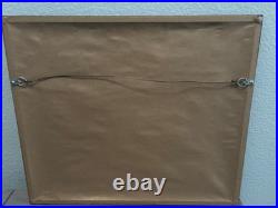 Looney Tunes Doctoring Daffy Cel Signed by Charles McKimson 112/250 Ltd RARE