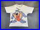 RARE_Vintage_90s_Warner_Bros_Looney_Tunes_Tiny_Toons_Dizzy_Devil_AOP_Size_XL_01_tpz