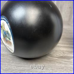 Rare Looney Tunes Plastic Bowling Ball Pin Hi Rollers Genius Strikes With Shirts