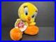 Rare_Tweety_Plush_Warner_Bros_Studio_01_hg