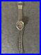 Rare_VTG_Armitron_Warner_Bros_Rotating_Cyclone_TAZ_Skeleton_Back_Watch_01_ws