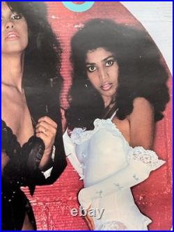 Rare Vanity 6 Fan Club Rolled Poster 1982 Prince Warner Bros Side 6 Susan Brenda