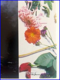 Rare Vntg 1984 Iconic Prince Purple Rain Warner Bros Promo Collector's Poster
