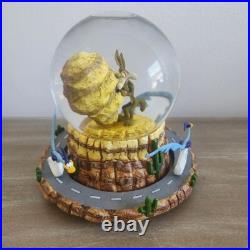 Rare Warner Bros. Road Runner and Wile E. Coyote Musical Snow Globe Vintage 1996