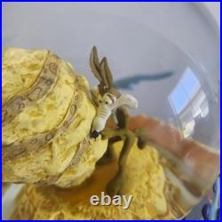 Rare Warner Bros. Road Runner and Wile E. Coyote Musical Snow Globe Vintage 1996