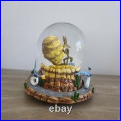 Rare Warner Bros. Road Runner and Wile E. Coyote Musical Snow Globe Vintage 1996