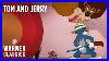 Tom_And_Jerry_Mega_Compilation_Vol_8_Warner_Classics_01_aey