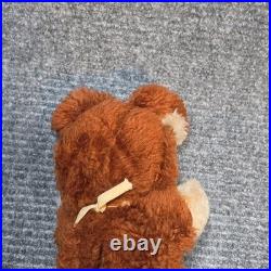 Vintage 1977 Wile E Coyote Plush Vinyl Rubber Face Looney Tunes Warner Bros Rare