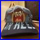 Vintage_1993_Taz_UNC_Tar_Heels_Snapback_Hat_Looney_Tunes_Warner_Bros_Rare_01_fu