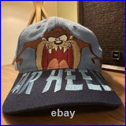Vintage 1993 Taz UNC Tar Heels Snapback Hat Looney Tunes Warner Bros Rare