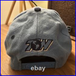 Vintage 1993 Taz UNC Tar Heels Snapback Hat Looney Tunes Warner Bros Rare