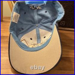 Vintage 1993 Taz UNC Tar Heels Snapback Hat Looney Tunes Warner Bros Rare