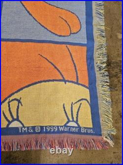 Vintage 90s Looney Tunes Warner Bros Tweety Bird Tapestry Blanket Rare