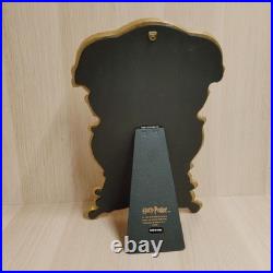 Vintage Rare Harry Potter Gold Mirror Of Erised Original Warner Bros 2000