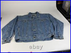 Vtg 1995 Warner Bros Studio Store Looney Tunes Denim Jacket L Archival RARE
