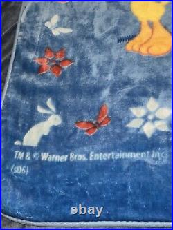 Warner Bros Baby Looney Tunes Blanket Blue Bugs Bunny Tweety Bird Flowers RARE Warner Bros Baby Looney Tunes Blanket Blue Bugs Bunny Tweety Bird Flowers RARE