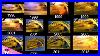 Warner_Bros_Pictures_All_Logos_From_1998_2018_Comparison_01_yrxr