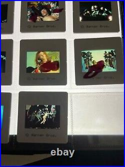 Warner Bros Slides STANLEY KUBRICK A CLOCKWORK ORANGE- Rare X15